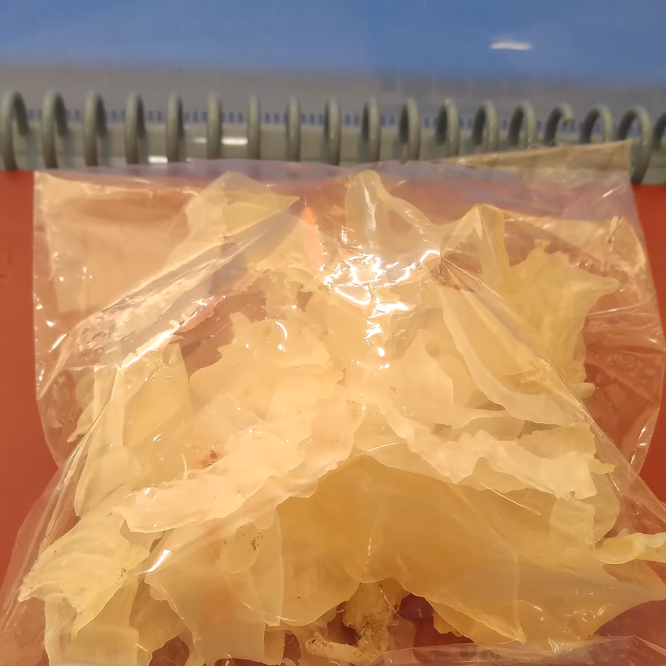 کتیرا صمغ مقوی،سلامت و زیبایی پوست و مو،جلوگیری از سکته قلبی، ملین