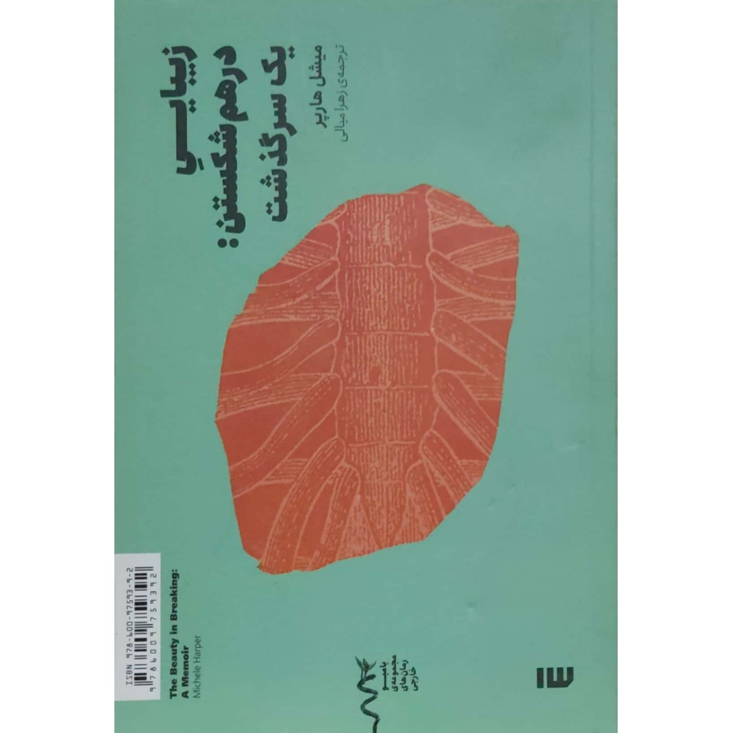 زیبایی درهم شکستن یک سرگذشت