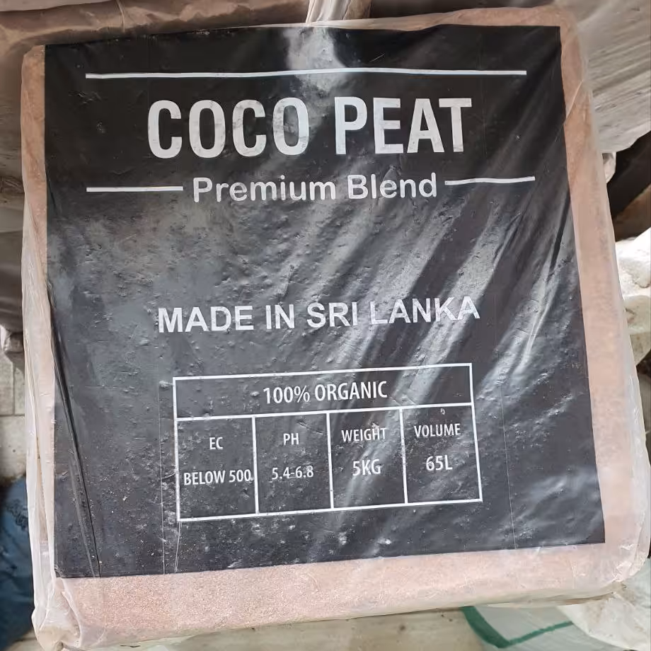 کوکوپیت سریلانکا اصل