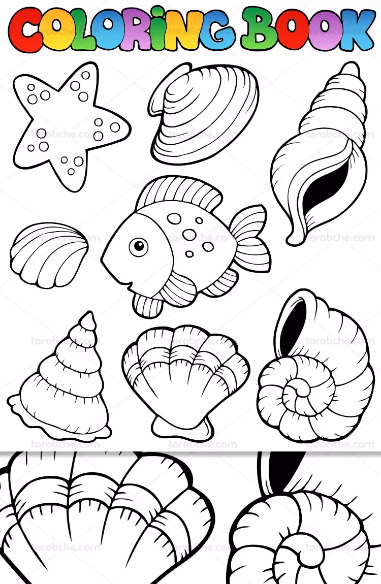 وکتور رنگ آمیزی موجودات دریایی | گرافیک با طعم تربچه