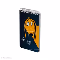 دفتر یادداشت فنری 100برگ 8×12 فانتزی الیپون کد 261