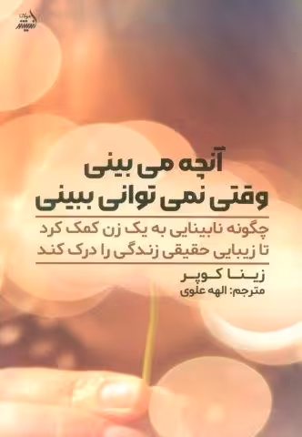 آنچه می بینی وقتی نمی توانی ببینی