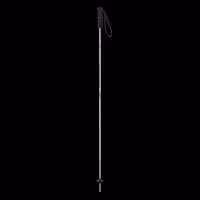 باتوم اسکی آلپاین ELAN SPEEDROD GREY 2025