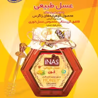 عسل نیم کیلویی گون  آیناس