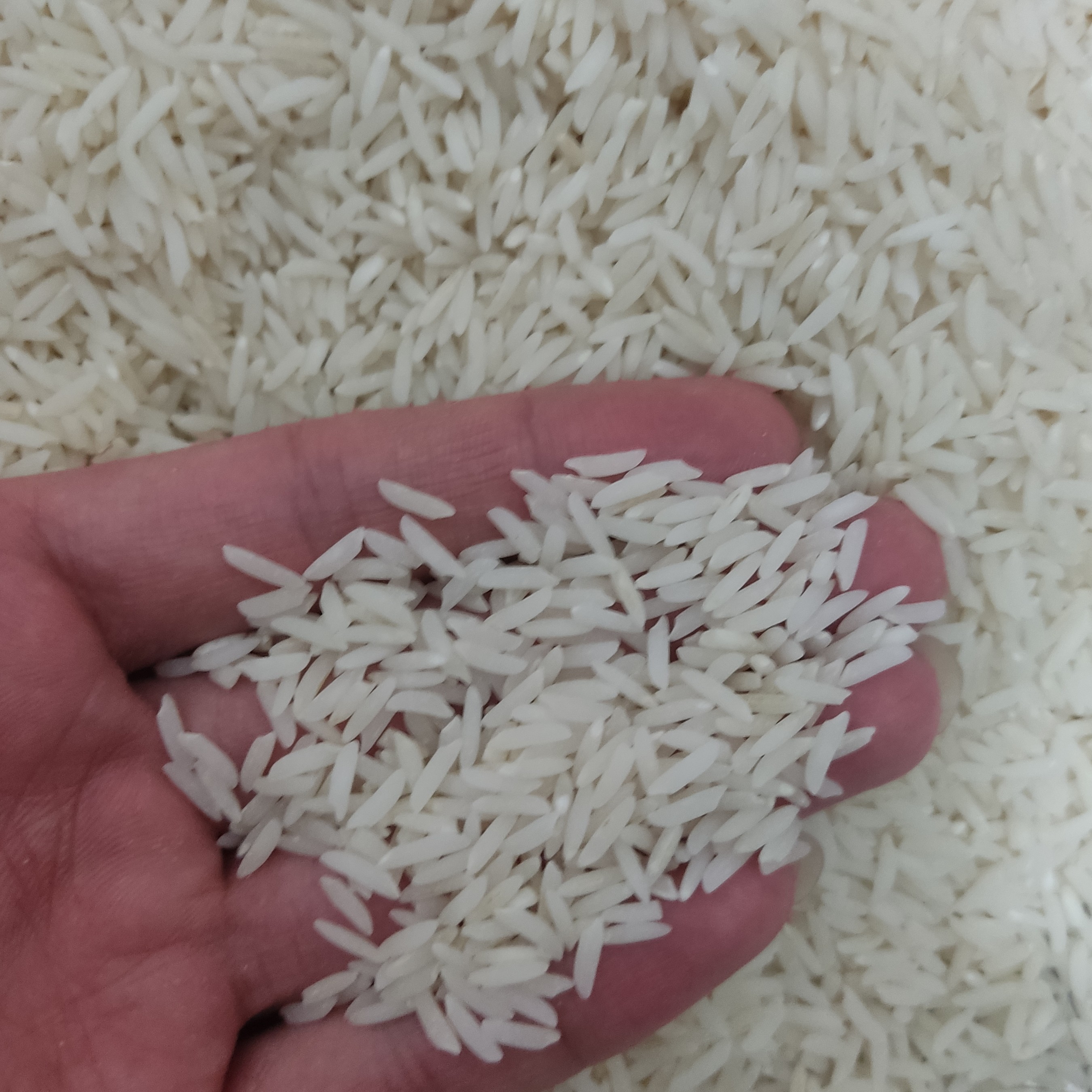 برنج هاشمی درجه یک بسته 10کیلویی