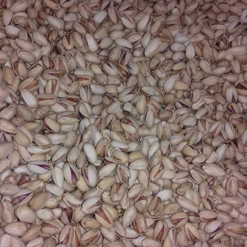 پسته بادامی