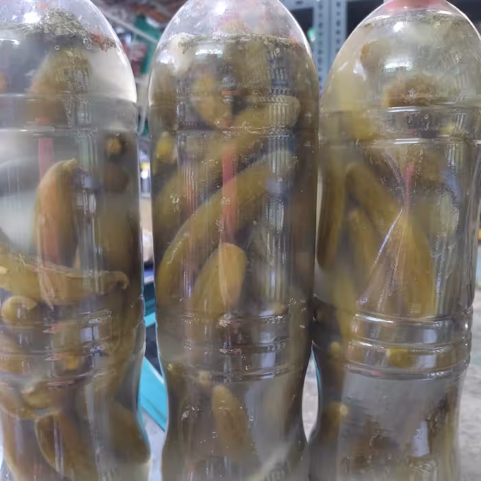 خیارشور ارگانیک خانگی با سرکه انگور خونگی تازه گرفته شده  خیار ریز 