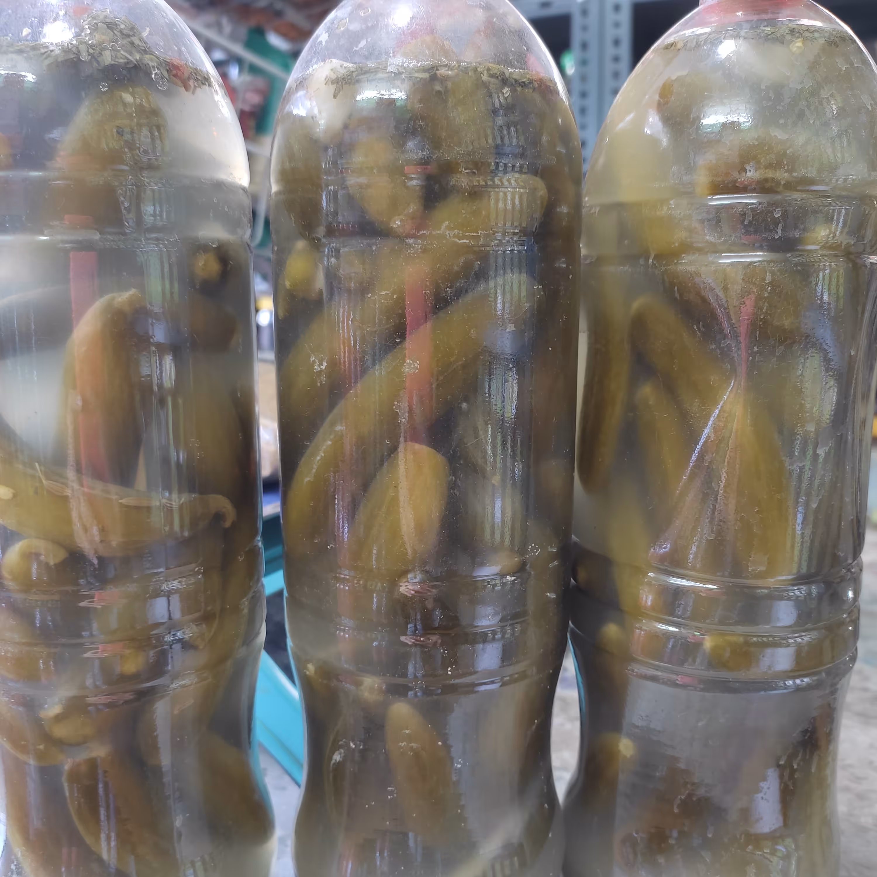 خیارشور ارگانیک خانگی با سرکه انگور خونگی تازه گرفته شده  خیار ریز 