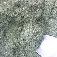 شوید خشک درجه یک 80گرمی