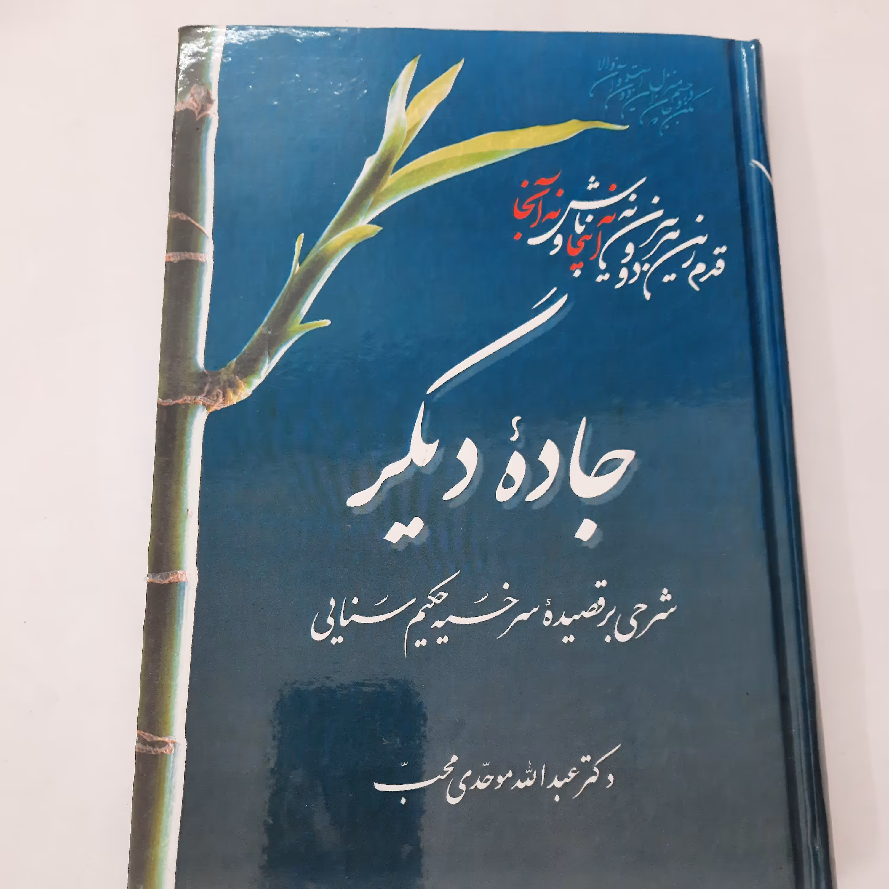 جاده دیگر دکتر عبدالله موحدی نسب شرحی بر قصیده سرخیه حکیم سنایی