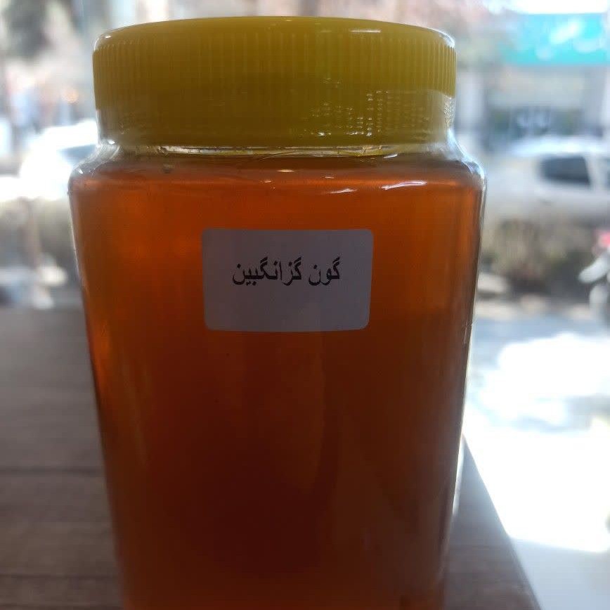عسل گون بوژان