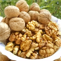 مغز گردو  اعلاء  درجه یک چرب 250 گرمی با تضمین کیفیت و بشرط