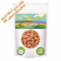 بادام زمینی آستانه اشرفیه با طعم نمک دستچین کالا - 100 گرم