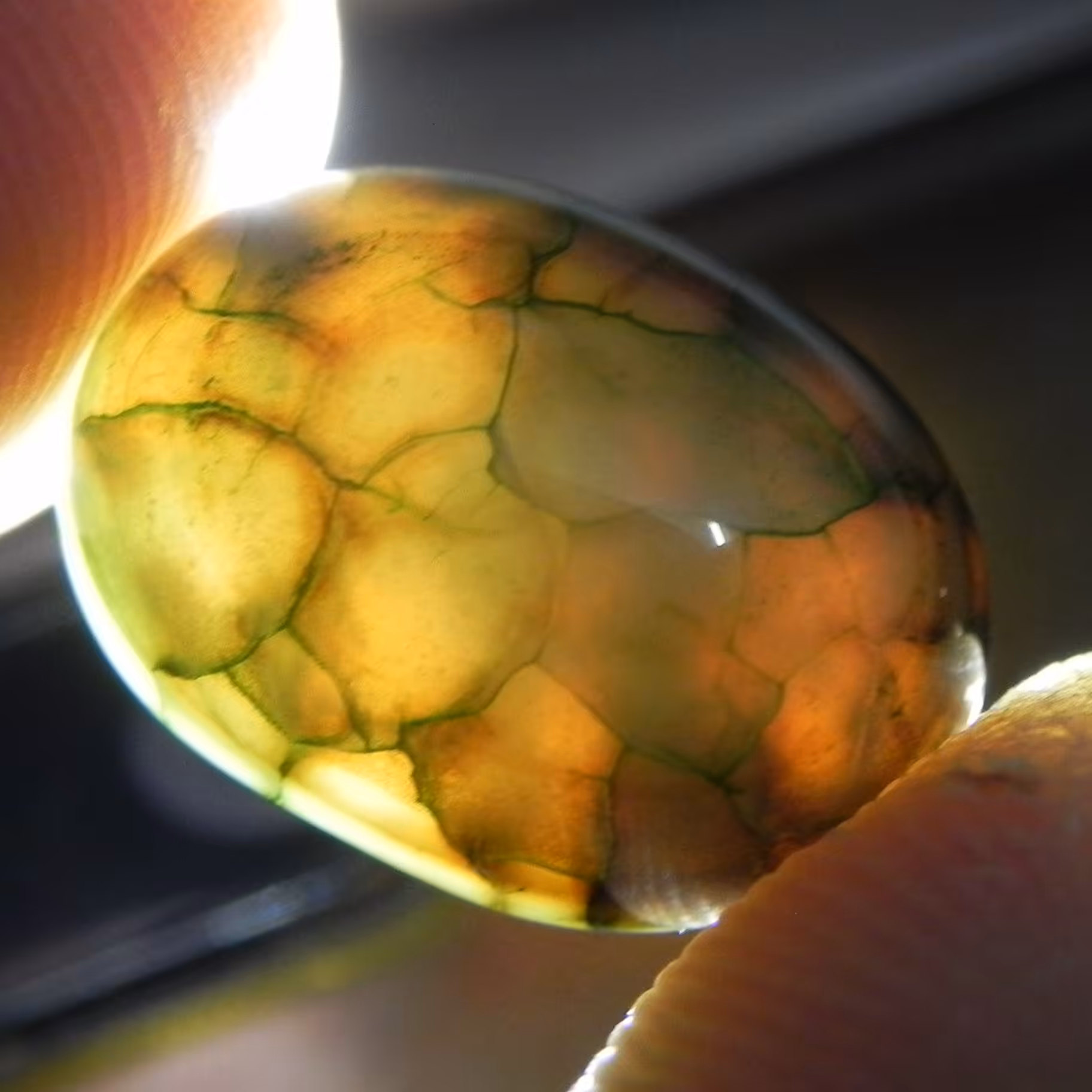 نگین شجر درشت عقیق دراگون سبز اصل 5