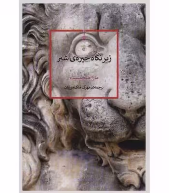 کتاب زیر نگاه خیره شیر