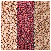 پک اقتصادی (نخود - لوبیا قرمز  - عدس) محلی فدک (بومی ایرانی)