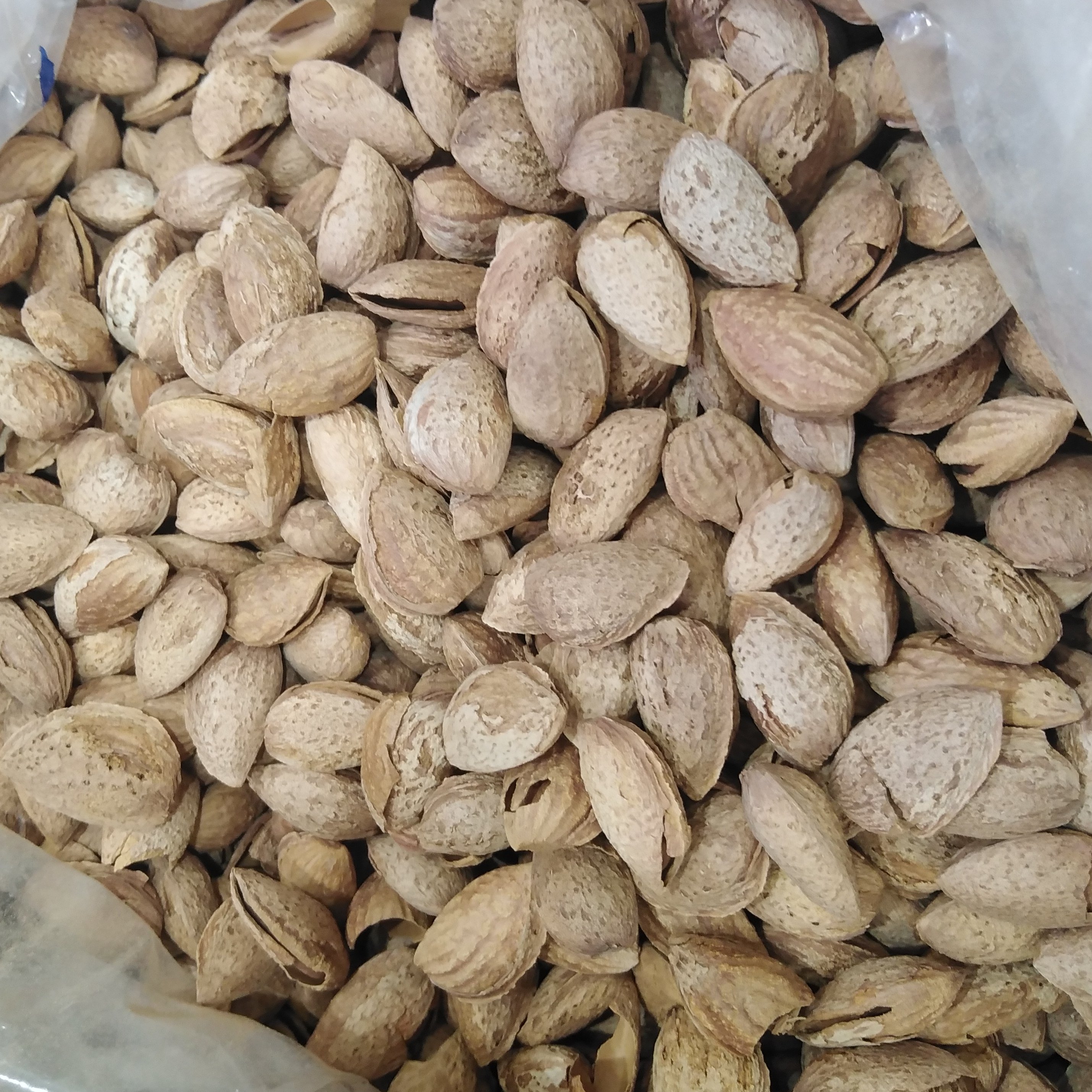 بادام پوست کاغذی نیم کیلویی تازه و در دو نوع شور و خام