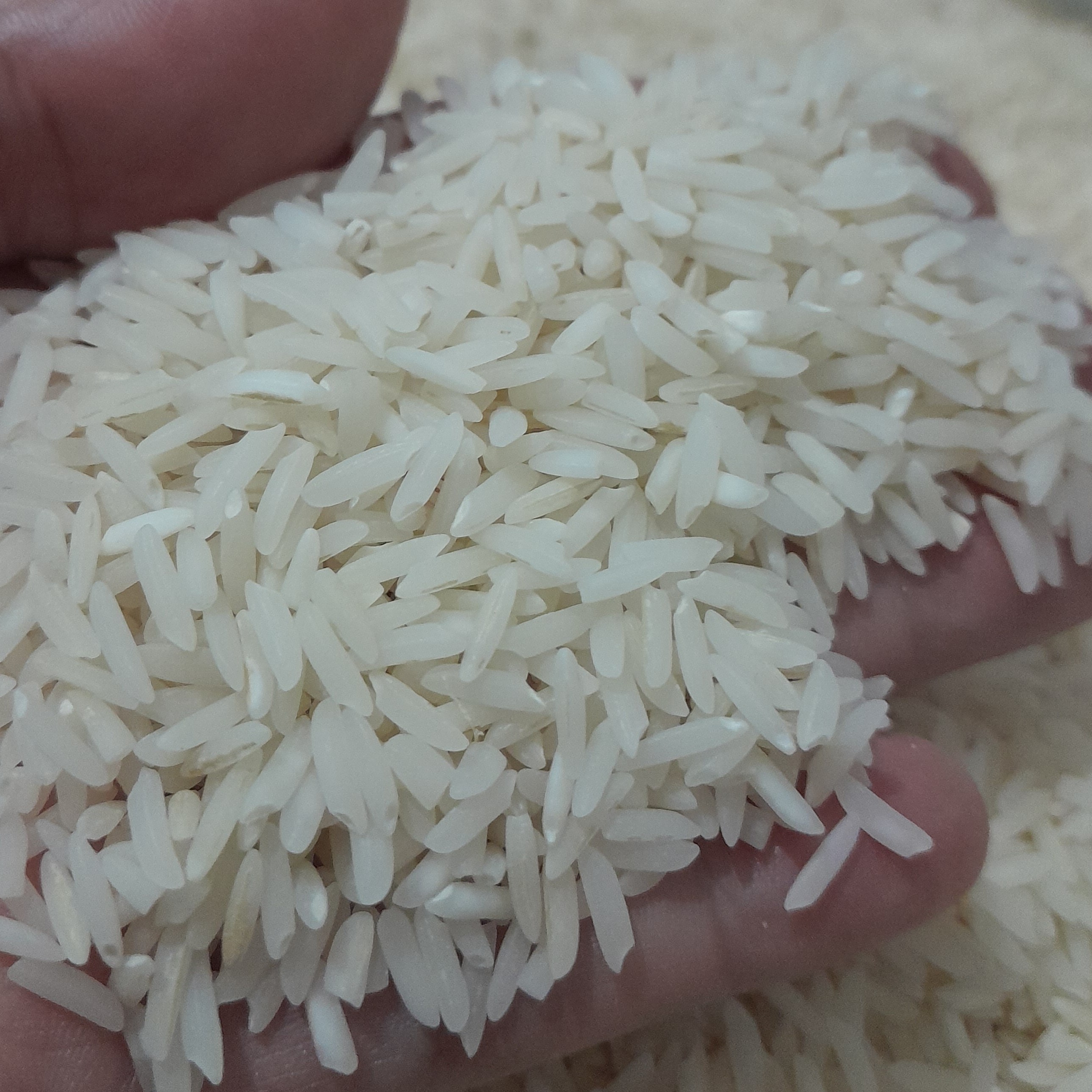 برنج هاشمی