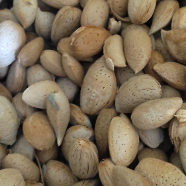 🌹(٪30هزینه ارسال با ماست)🌹بادام درختی مخلوط(1کیلووبیشتر)با بسته بندی شیک درطعم بینظیرفقط بادام خراسان را تجربه کن