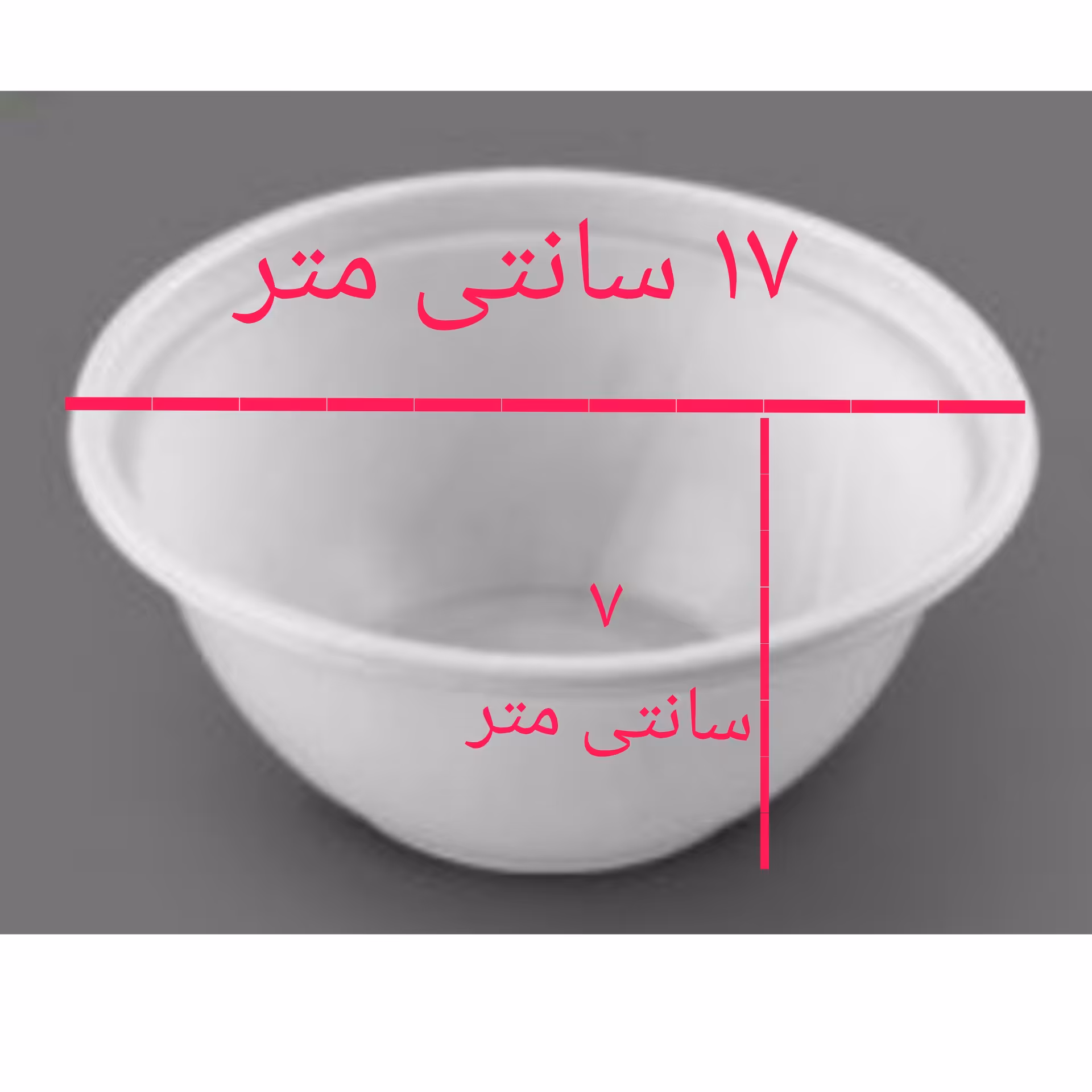 بسته 10 عددی ظرف یکبارمصرف