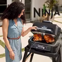 گریل باربیکیو نینجا مدل Ninja OG850