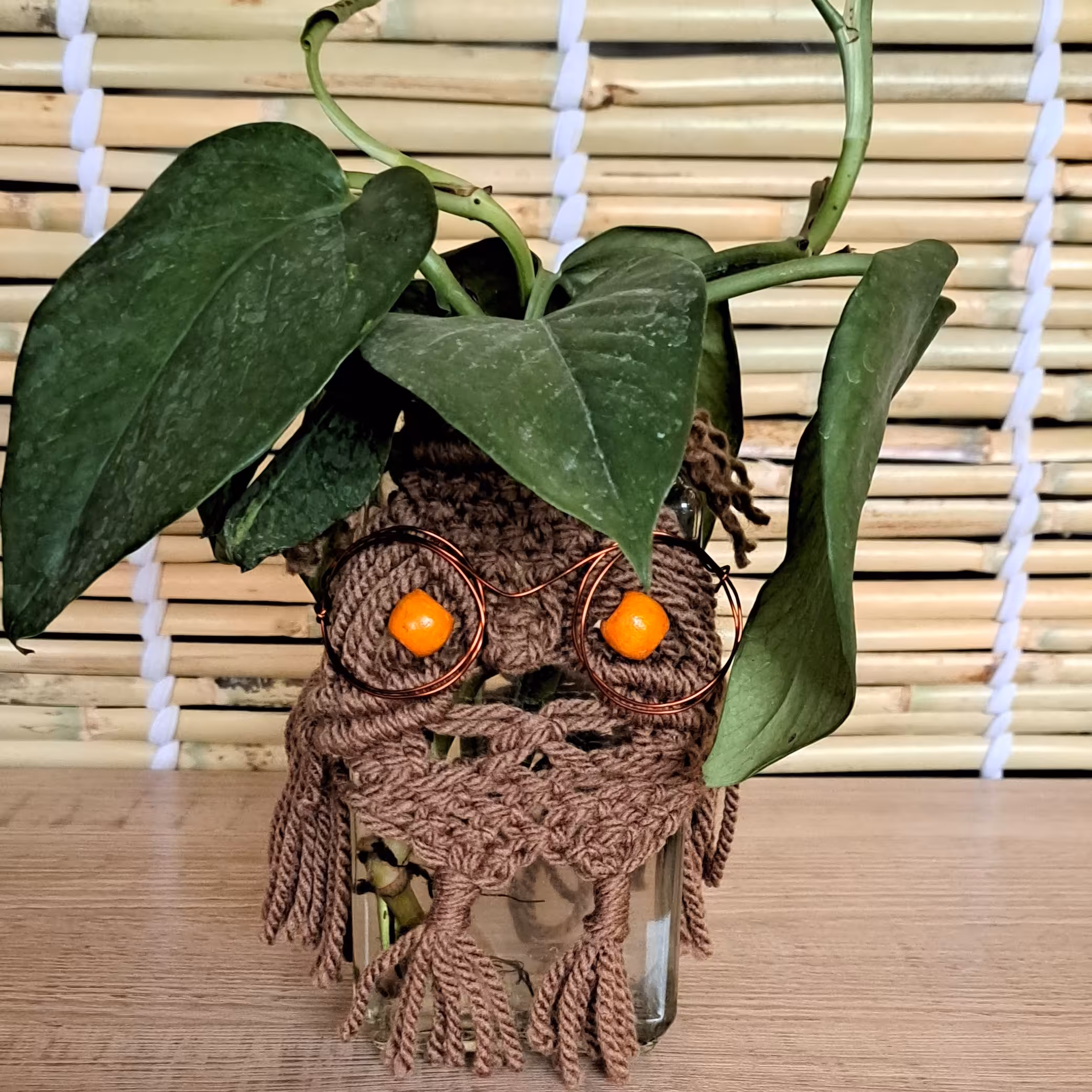 کاور شیشه جغد