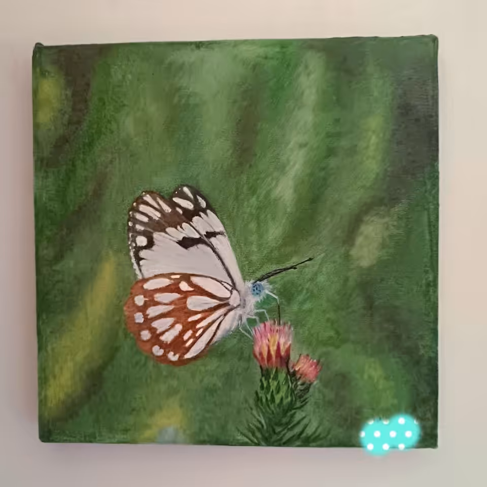 تابلوی نقاشی پروانه تکنیک رنگ روغن 20 در 20