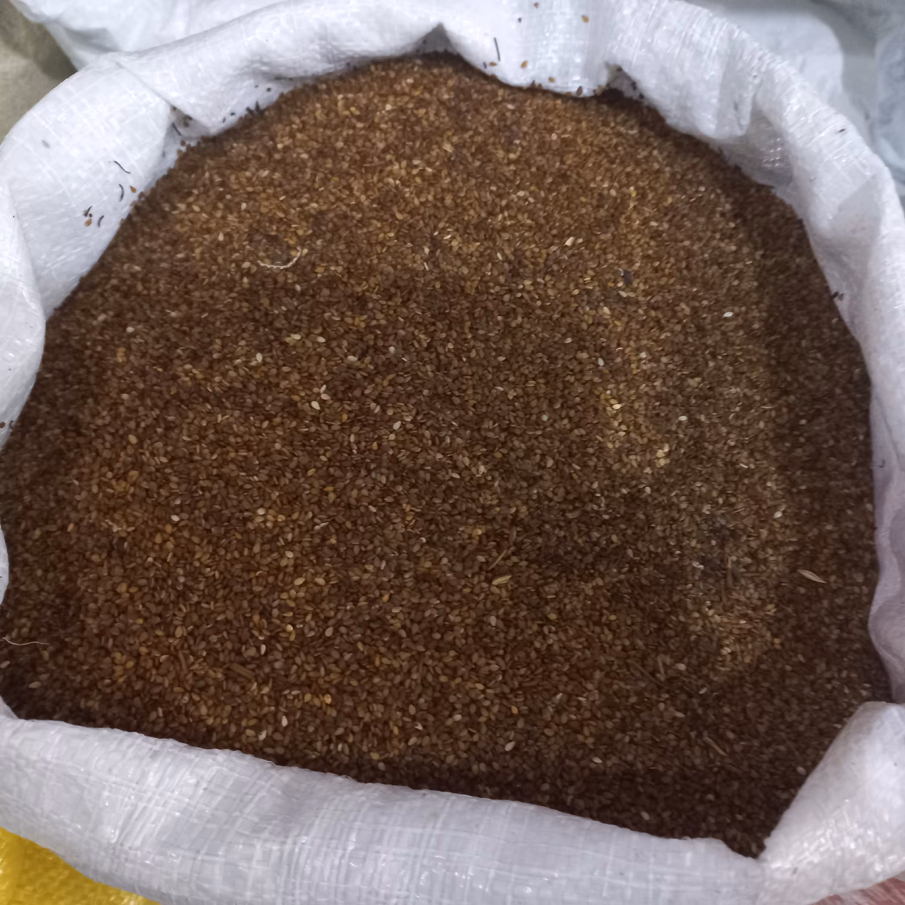 کنجد قهوه ای ایرانی  سورت شده و تمیز  (یک کیلویی )