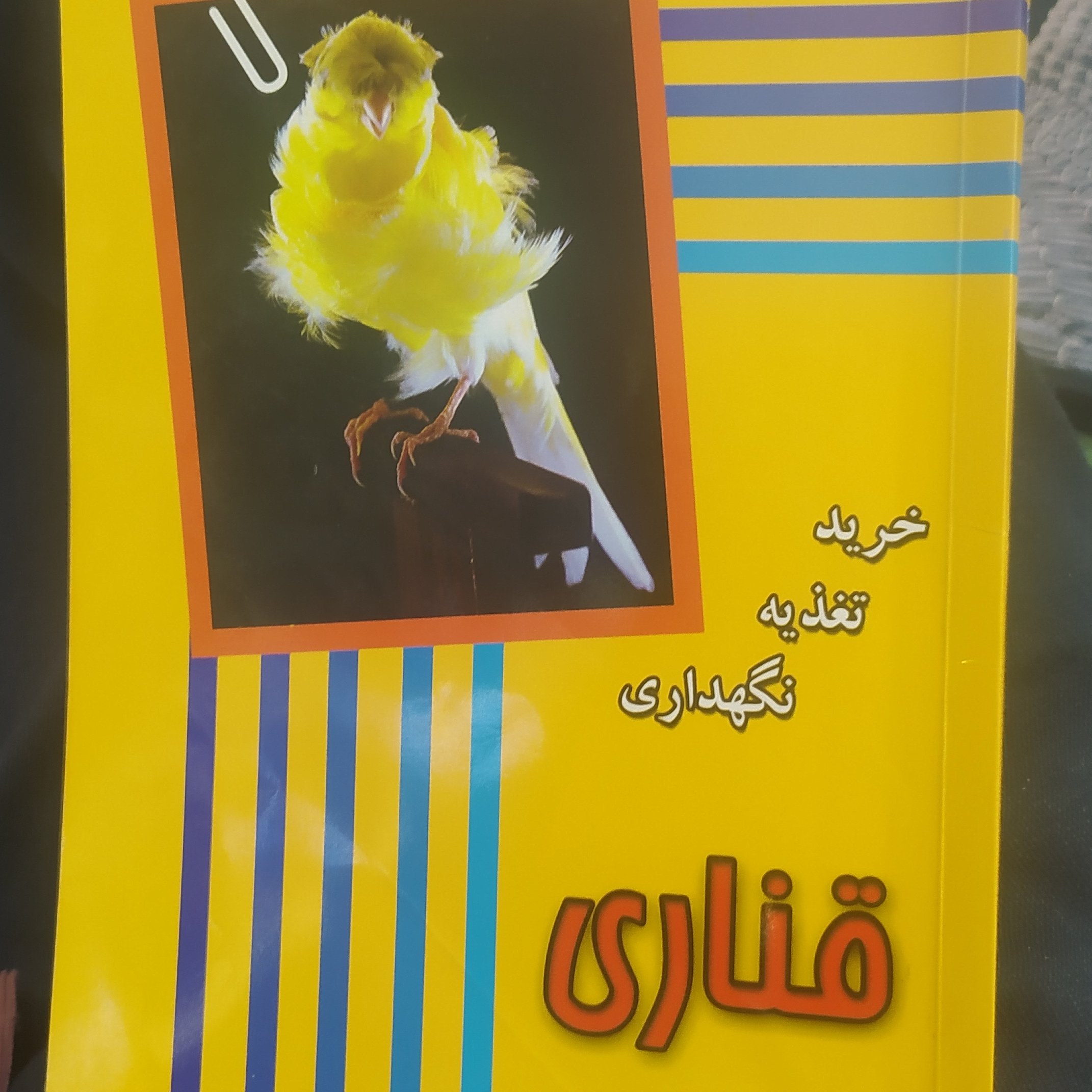 کتاب نگهداری قناری و تغذیه و پرورش آن