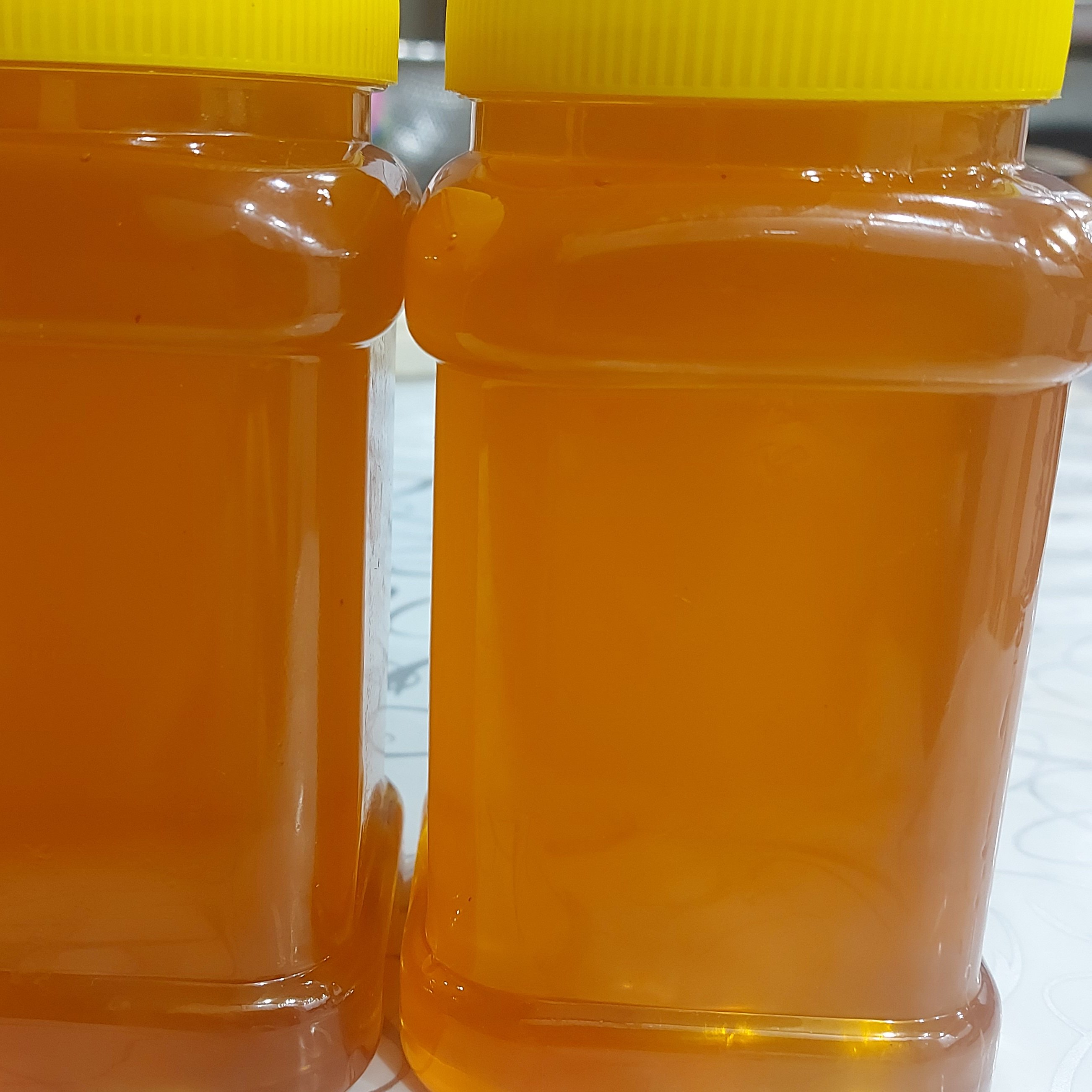 عسل گون ارگانیک کوهرنگ بختیاری