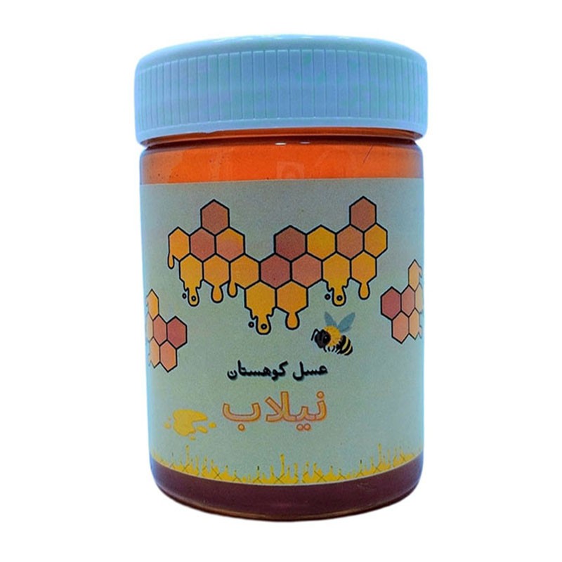عسل کوهستان - 460 گرم (ارسال رایگان)