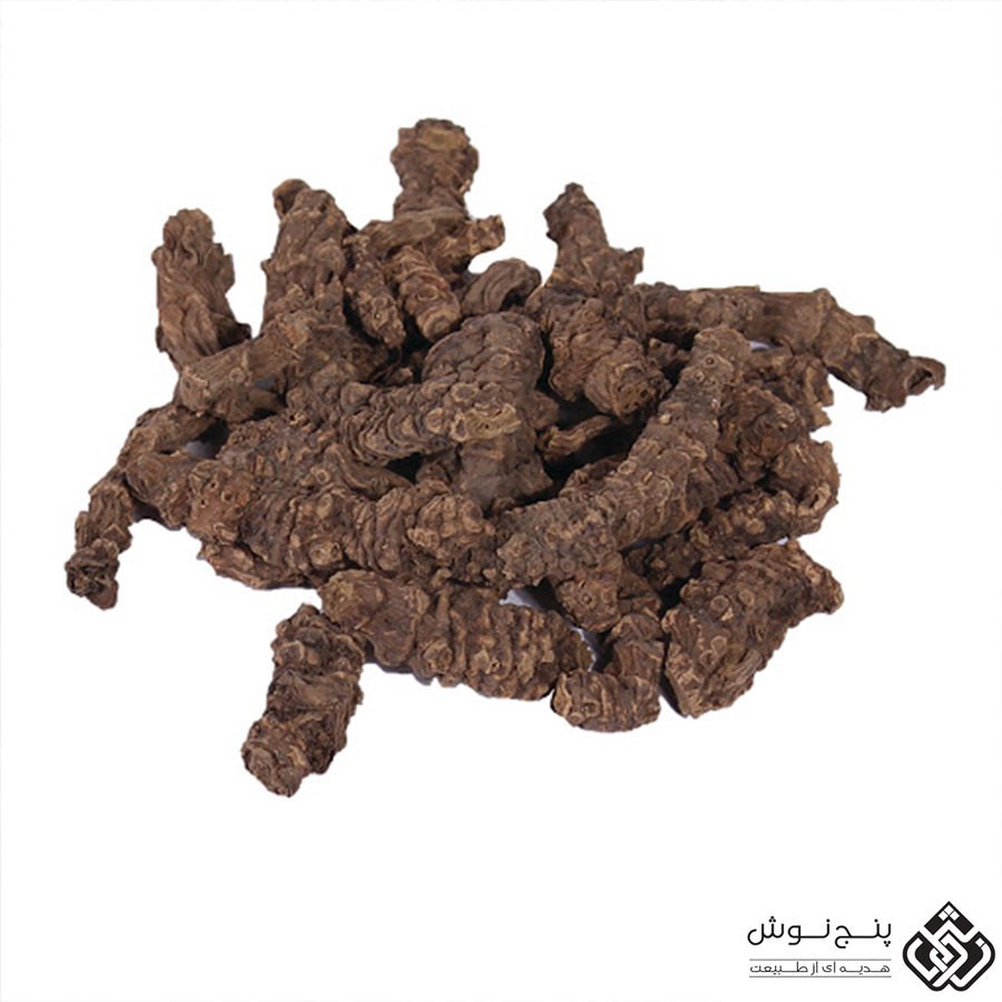 گیاه  اسارون 100 گرم (دفع سنگ کلیه و مثانه و قطع قاعدگی )