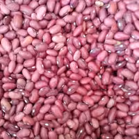 لوبیا قرمز 5 کیلو پاک شده سایز متوسط زودپز بدون لوبیا سنگی نپز خوشمزه برداشت 1401 موقع پخت از پوست جدا نمیشه  کیفیت عالی