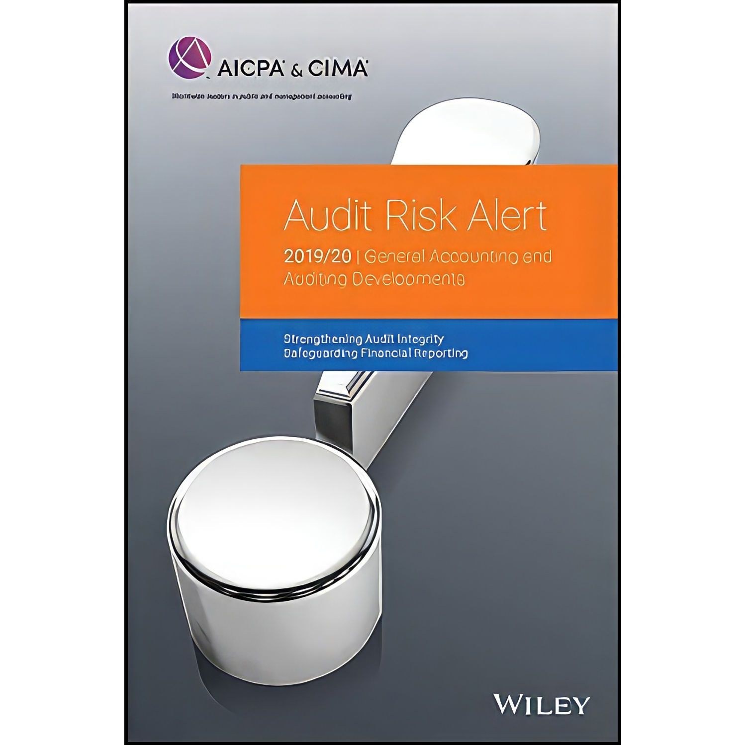 کتاب زبان اصلی Audit Risk Alert اثر AICPA