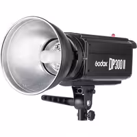 فلاش گودکس Godox DP300II Flash Head