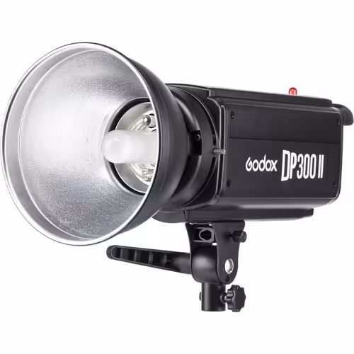 فلاش گودکس Godox DP300II Flash Head