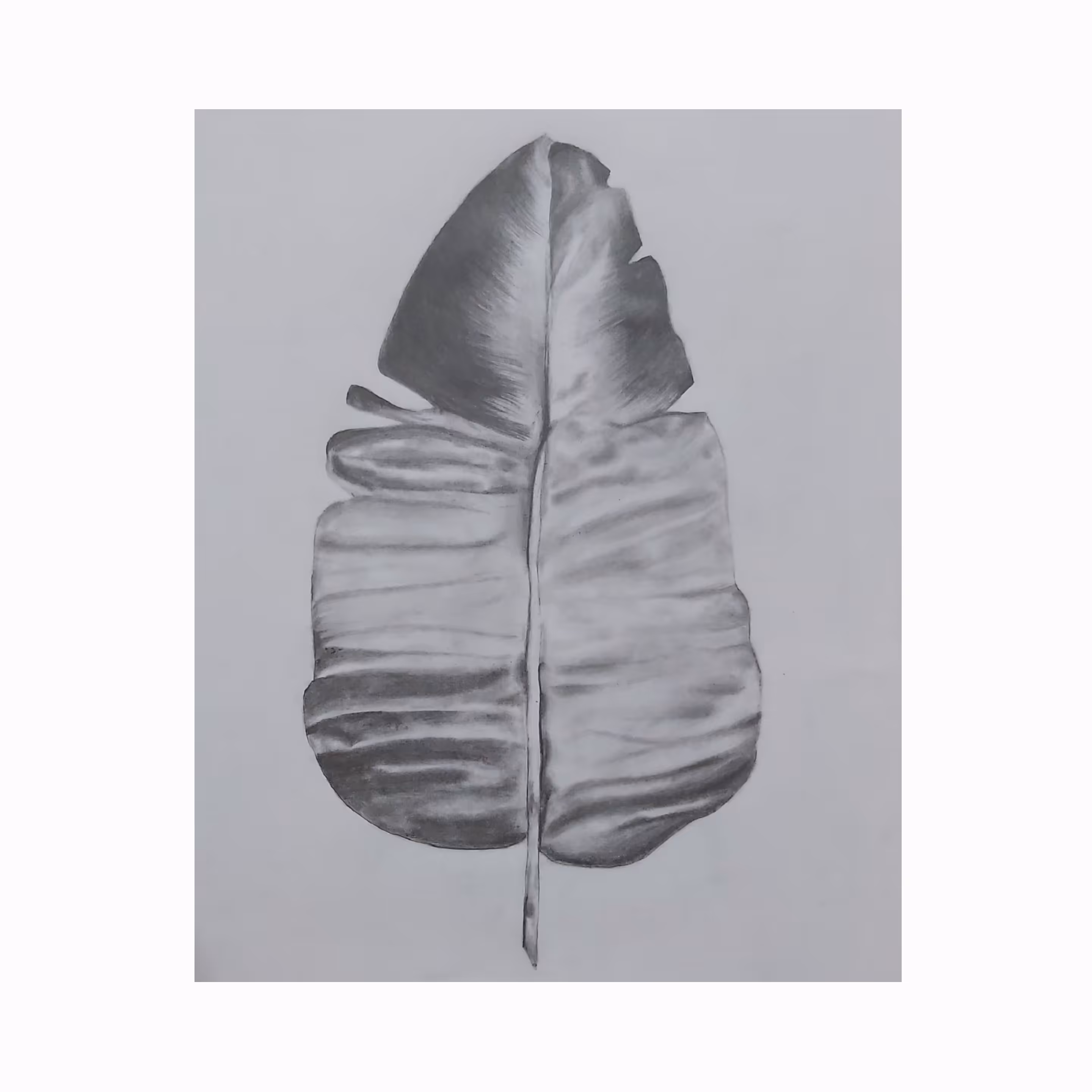 تابلو طرح برگ5 سیاه قلم