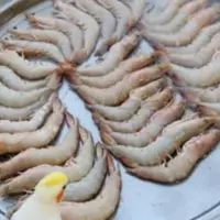 بیست و پنج کیلو فیله میگو تازه دریایی