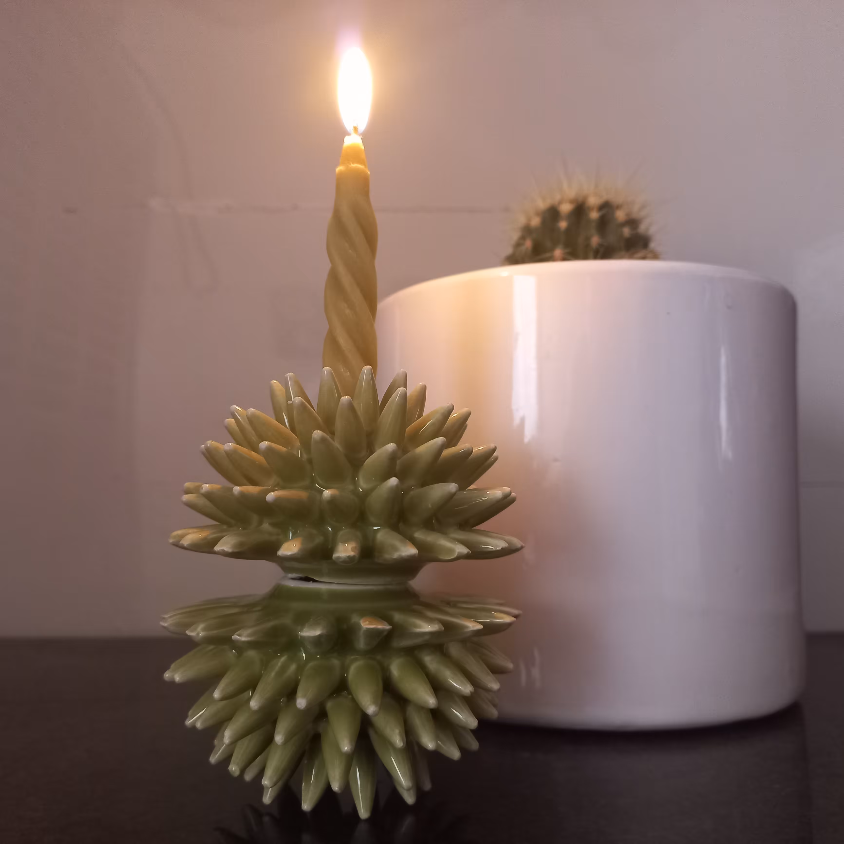 سفال کاکتوس حبابی 