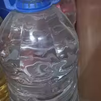 گلاب 30کیلو گل امسالی 