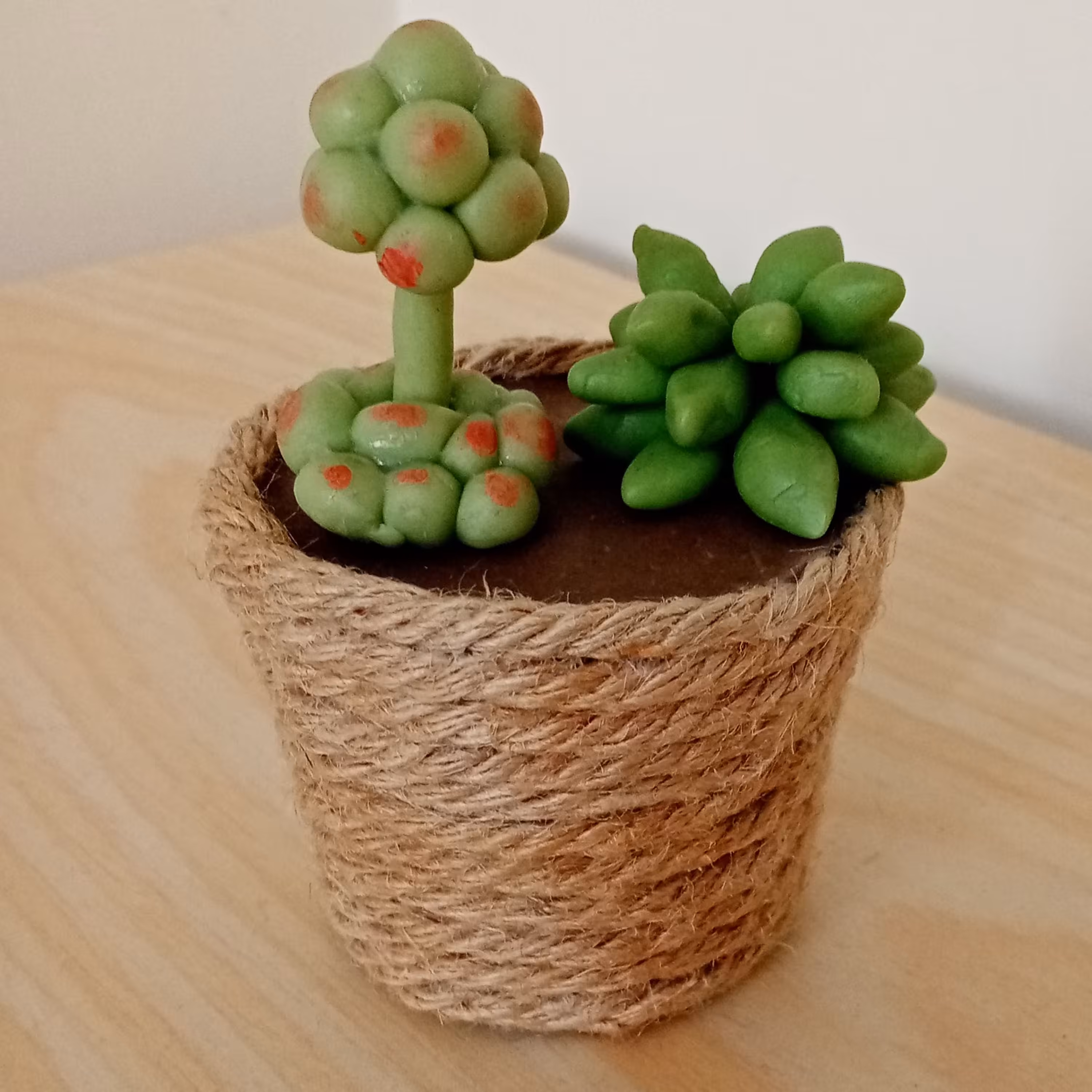 مجسمه گلدان کاکتوس  تزیینی