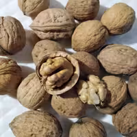 گردوی پرمغزسفیدوپوست کاغذی   (500گرم) البته خارجی 