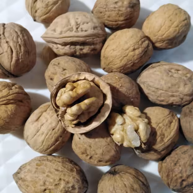 گردوی پرمغزسفیدوپوست کاغذی   (500گرم) البته خارجی 