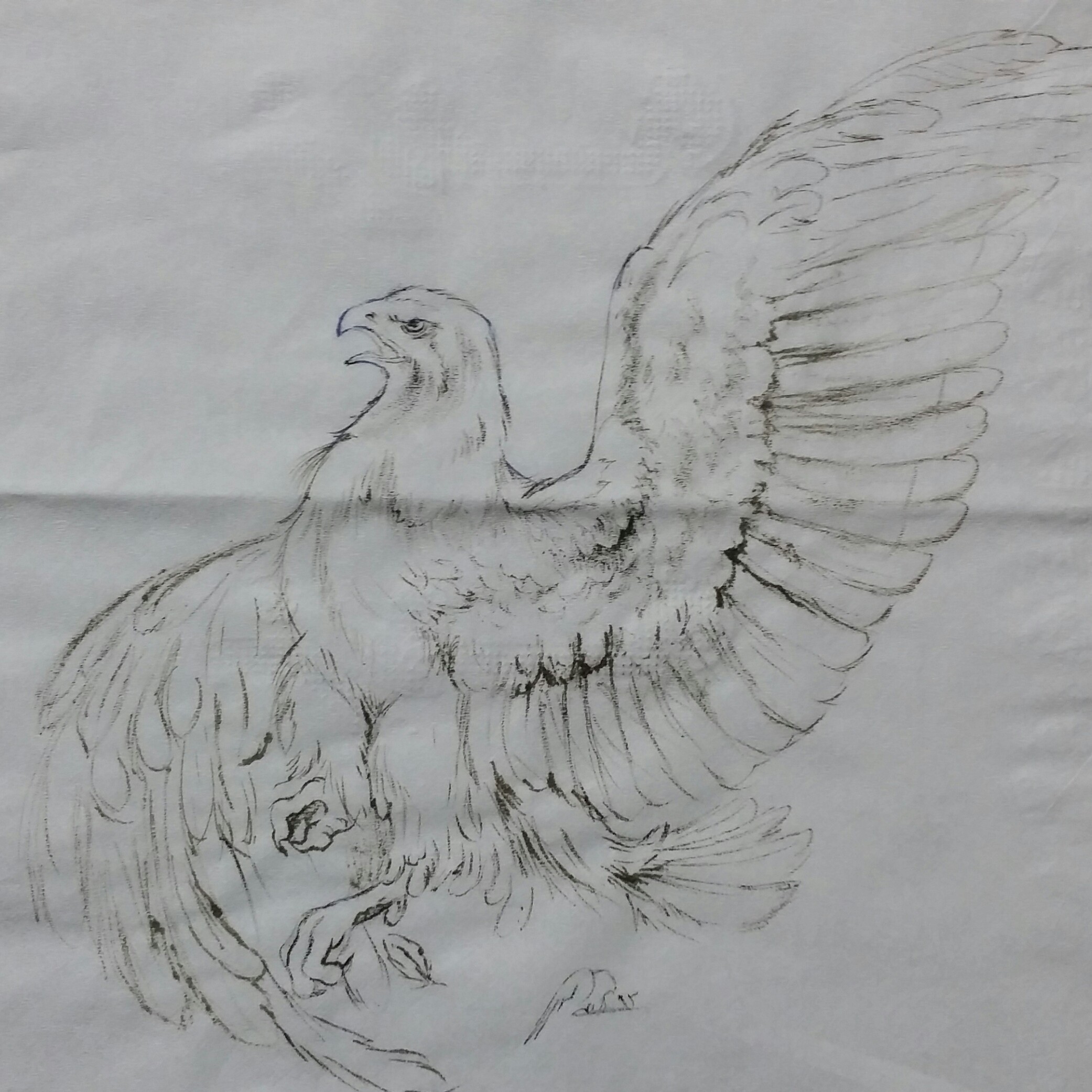 نقاشی مینیاتور عقاب