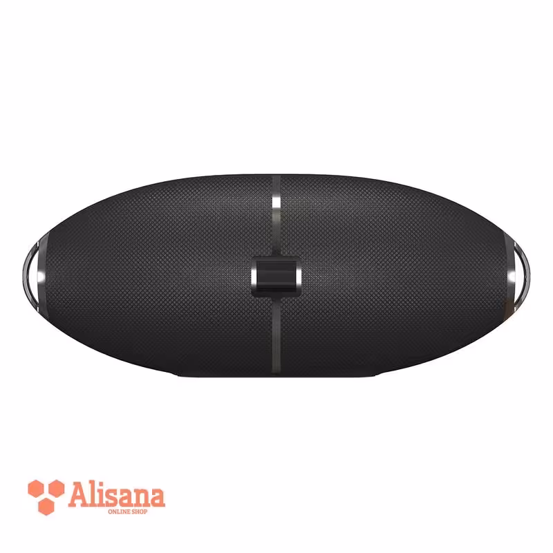 اسپیکر قابل حمل انرجایزر BTS205