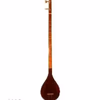 سه تار مفاخری یک مهر