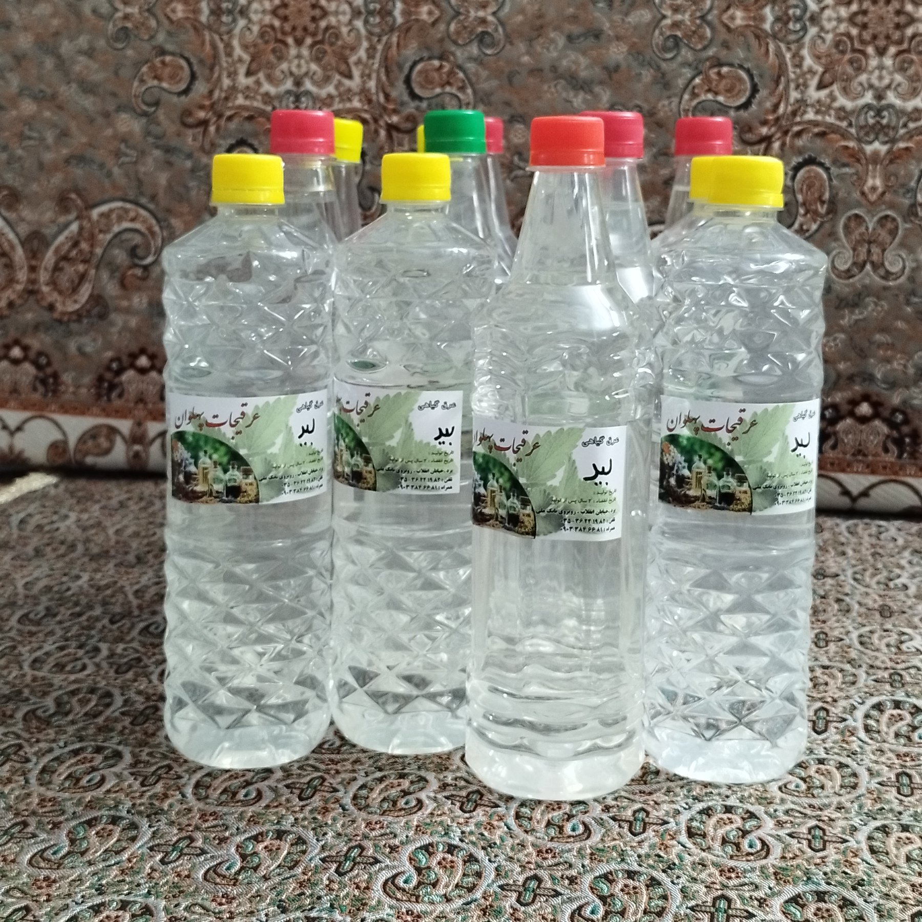 عرق بید