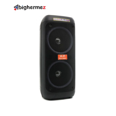 اسپیکر چمدانی پی نت مدل CH-8811