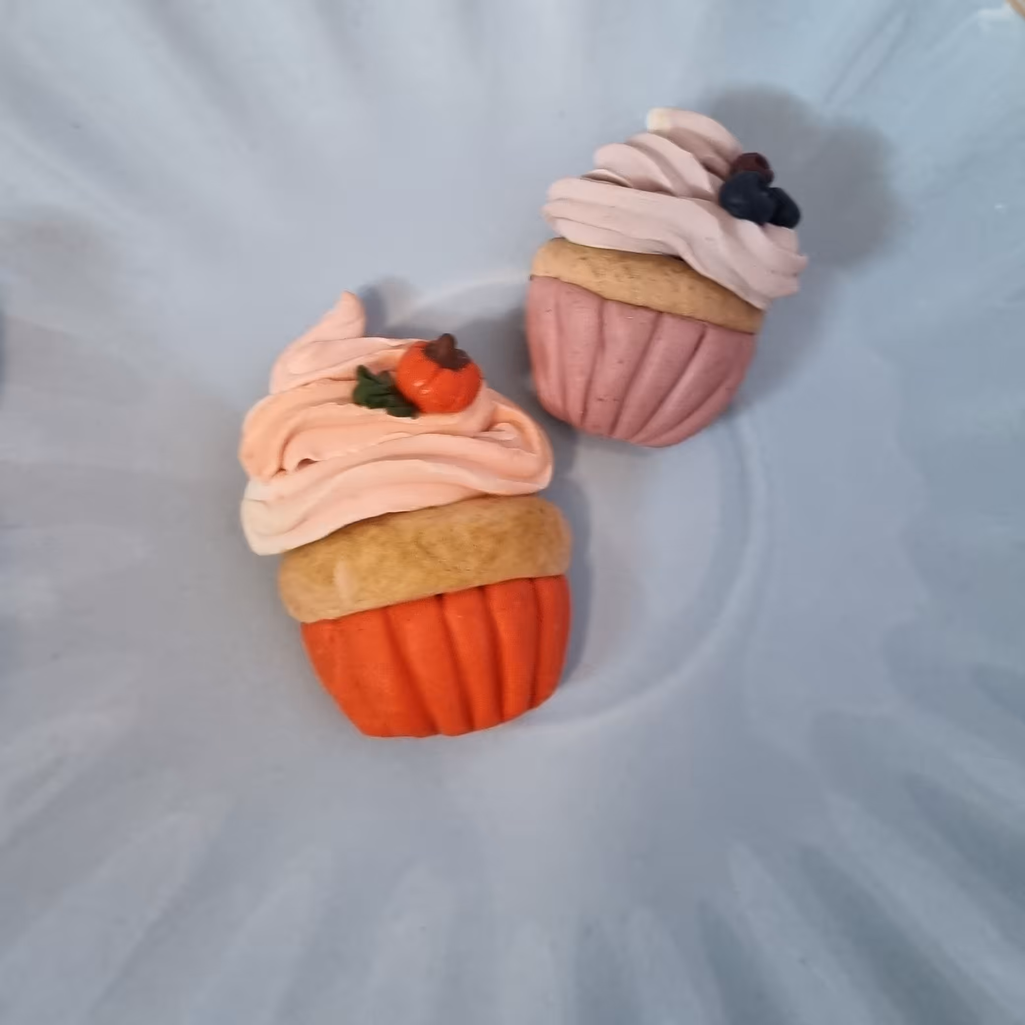 مگنتهای خمیری 