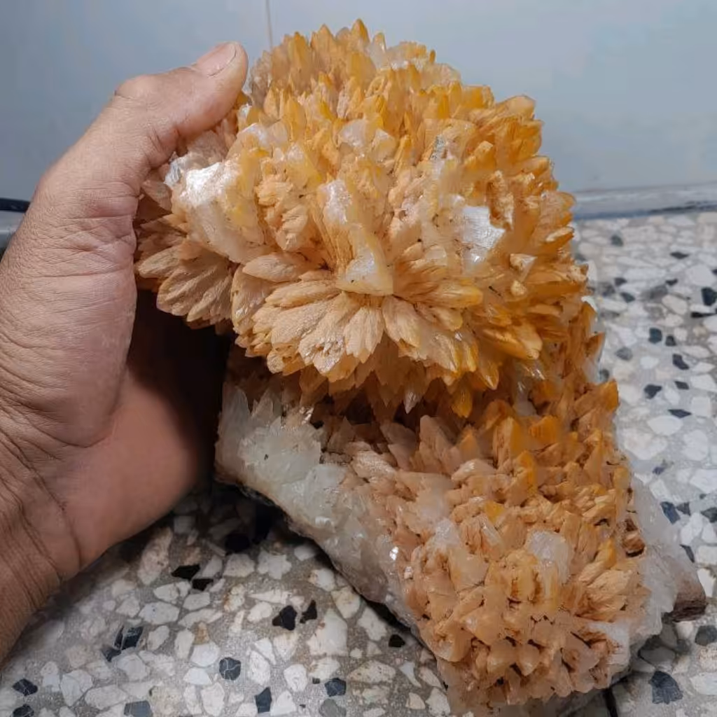 کلیست کلکسیونی کمیاب 3 کیلو 700 گرم